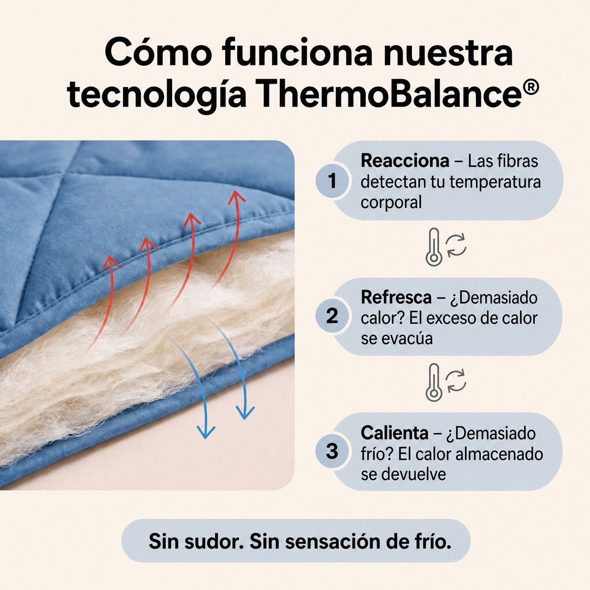 Kroos MaxSleep p03